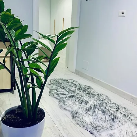 Cozy Corner *