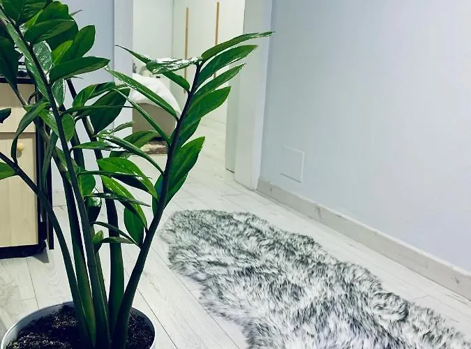 Cozy Corner *